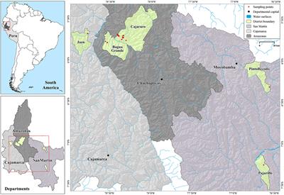 Total Fat Content and Fatty Acid Profile of Fine-Aroma Cocoa From Northeastern Peru